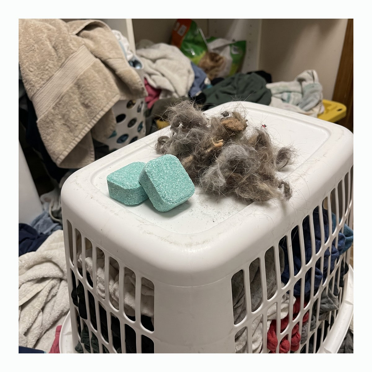 Mint washer cleaner tablets beside loose pet hair removed before washing