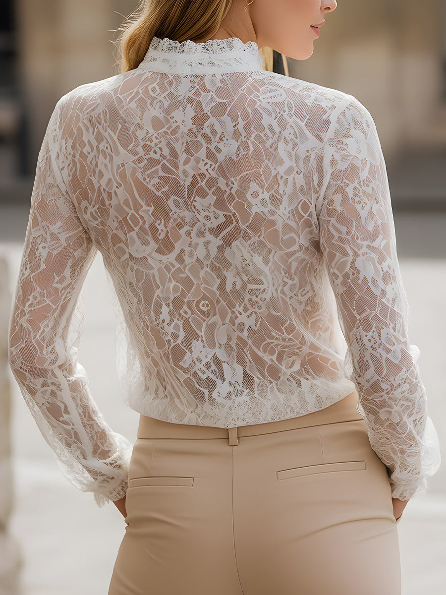 Sheer Lace Long-Sleeve Blouse With Delicate Trim ZJ