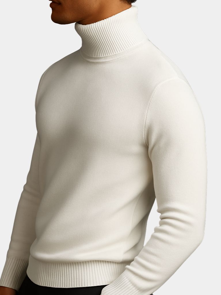 Aurelius Wool Turtleneck - CAAYWORLD CAAYWORLD