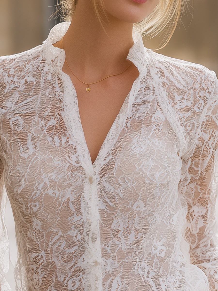 Sheer Lace Long-Sleeve Blouse With Delicate Trim ZJ