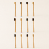 Gumcrest animal-derived pig-hair bristle toothbrush product view 7