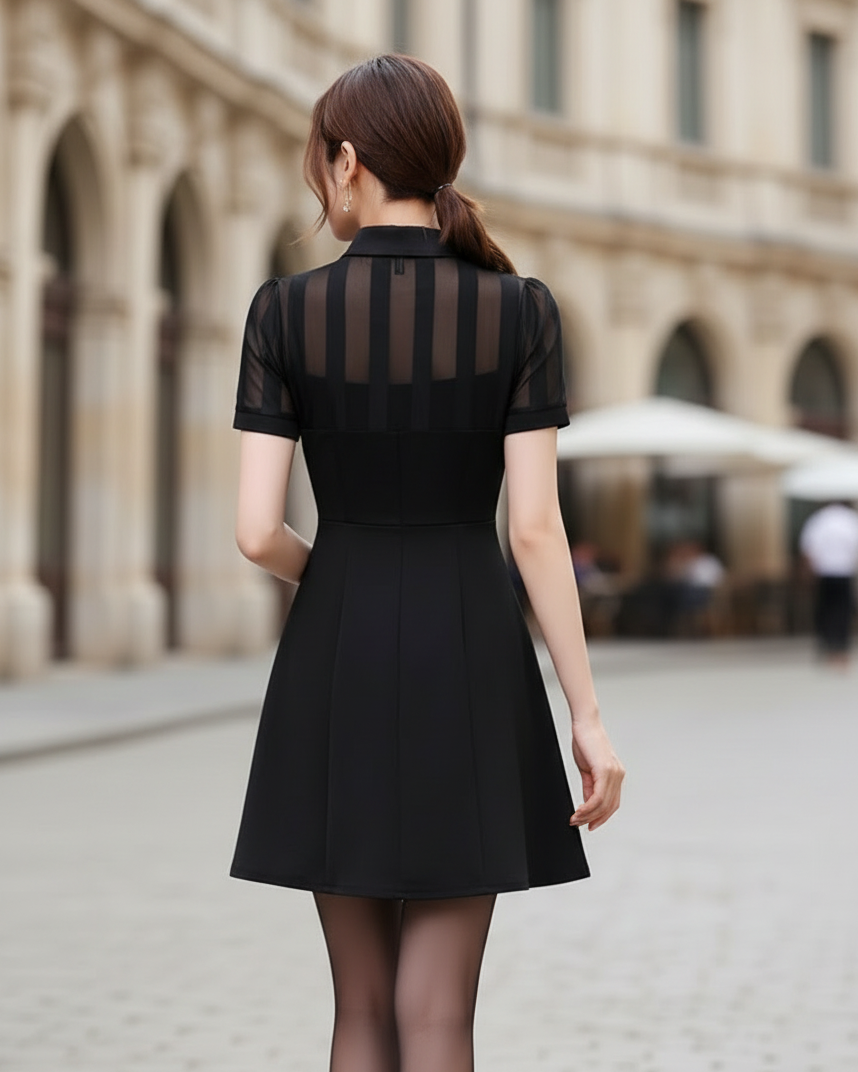 Sheer Panel Collared Keyhole A-Line Mini Dress