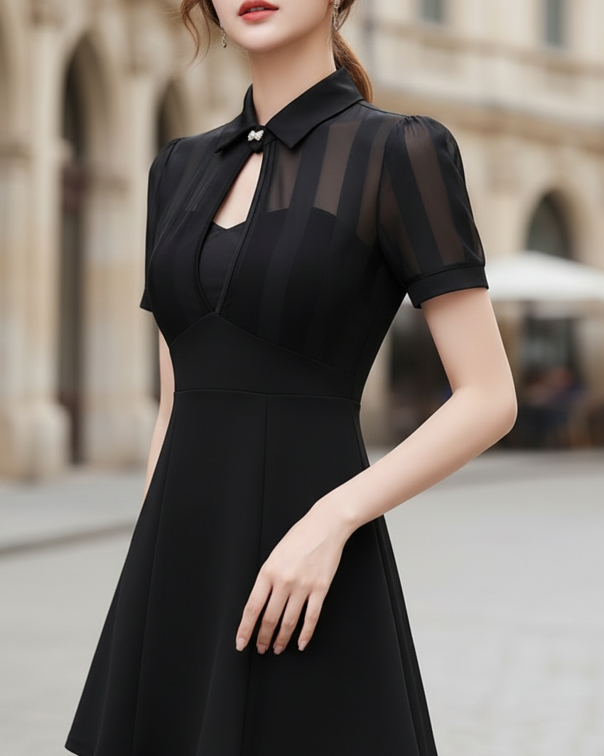 Sheer Panel Collared Keyhole A-Line Mini Dress