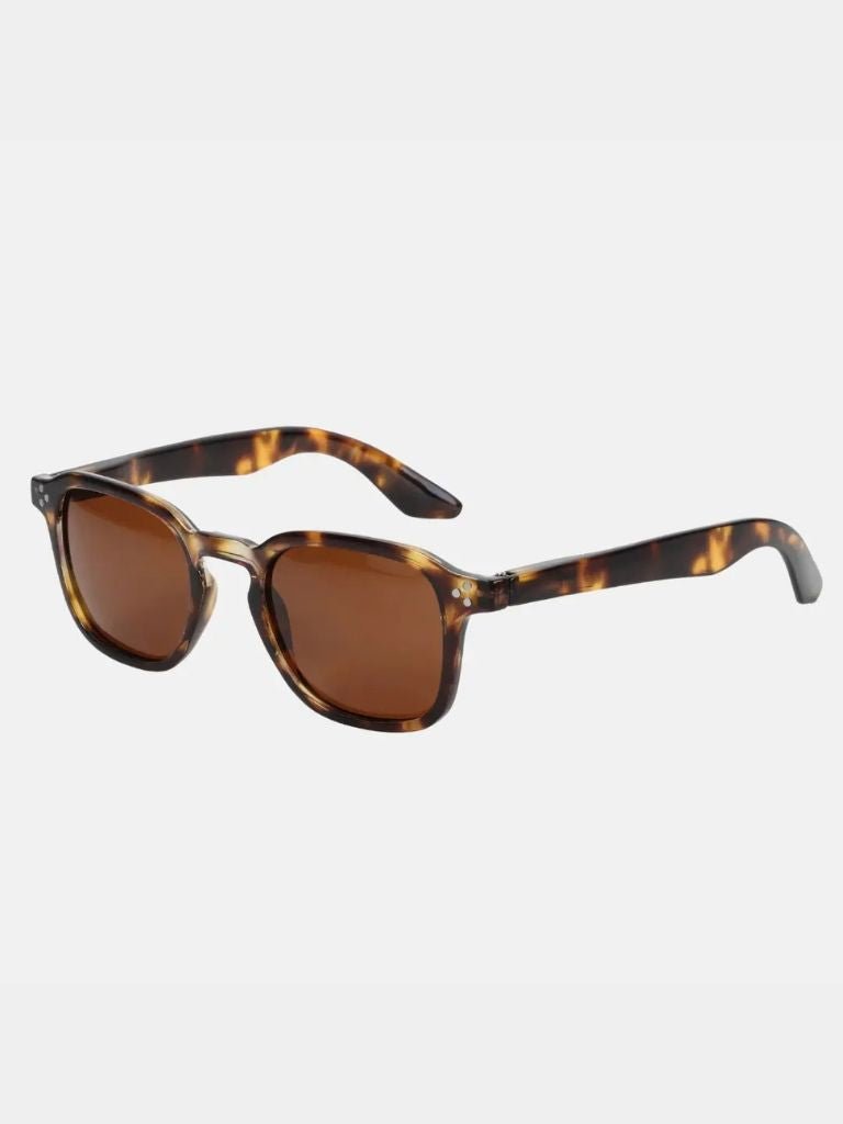 Lumen Virtus Sunglasses – CAAYWORLD CAAYWORLD