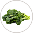 Hyaluronic Acid