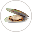 Green-Lipped Mussels