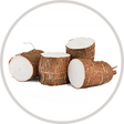 Yucca Schidigera
