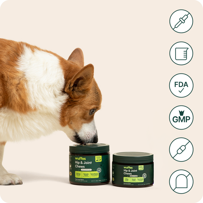 No Fillers, No Artificial Additives – Just What Works