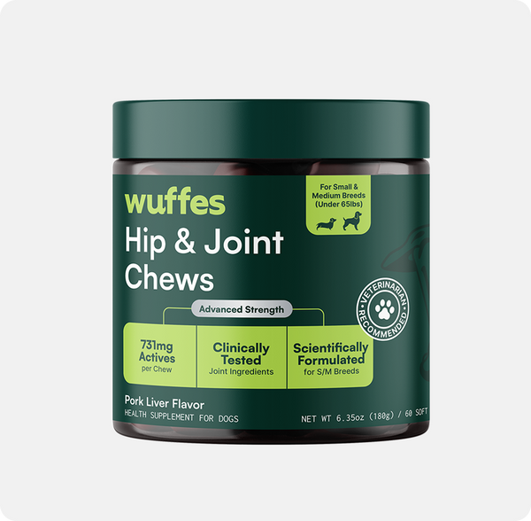 Snootly Advanced Hip & Joint Supplement for Dogs