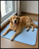 Customer photo of a dog resting on the Froloft mat
